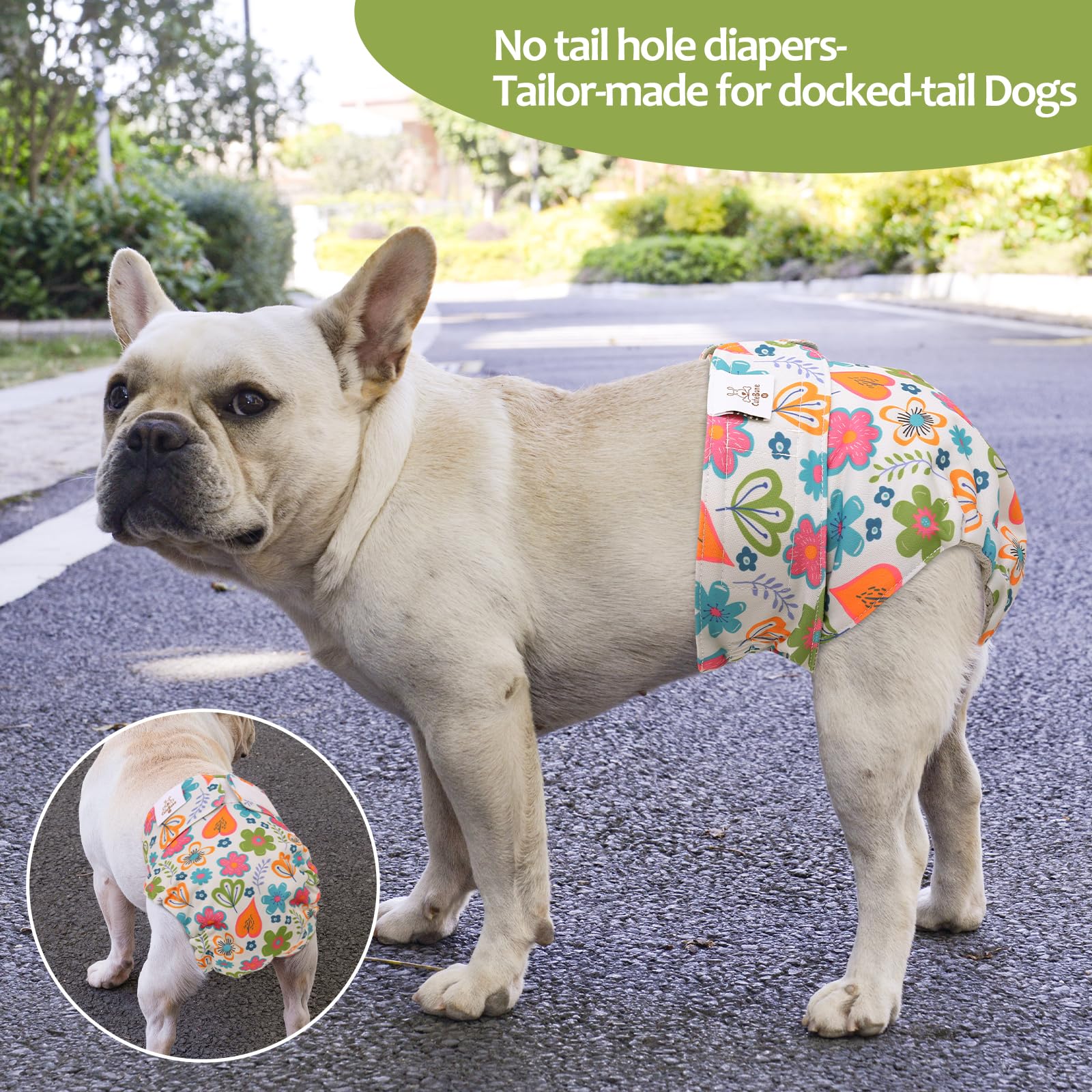 CuteBone diaper interior with absorbent pad for moisture control during outings