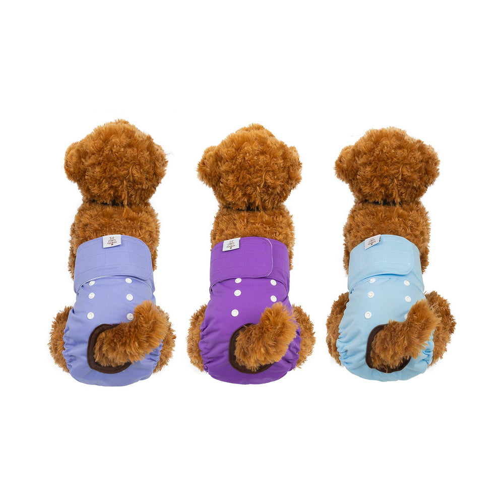 CuteBone diaper includes a sewn-in absorbent pad for quick absorption.