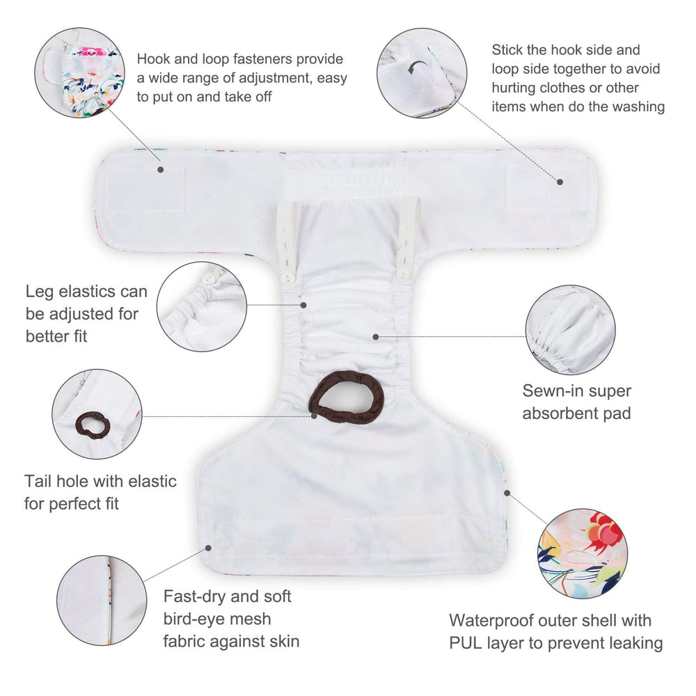 CuteBone dog diapers-adjustable-leg-elastics for a comfy, secure fit