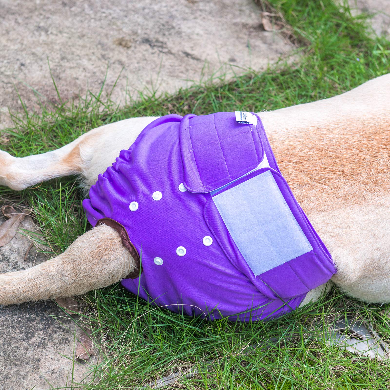 CuteBone easy-clean loops shown for washing without tugging.