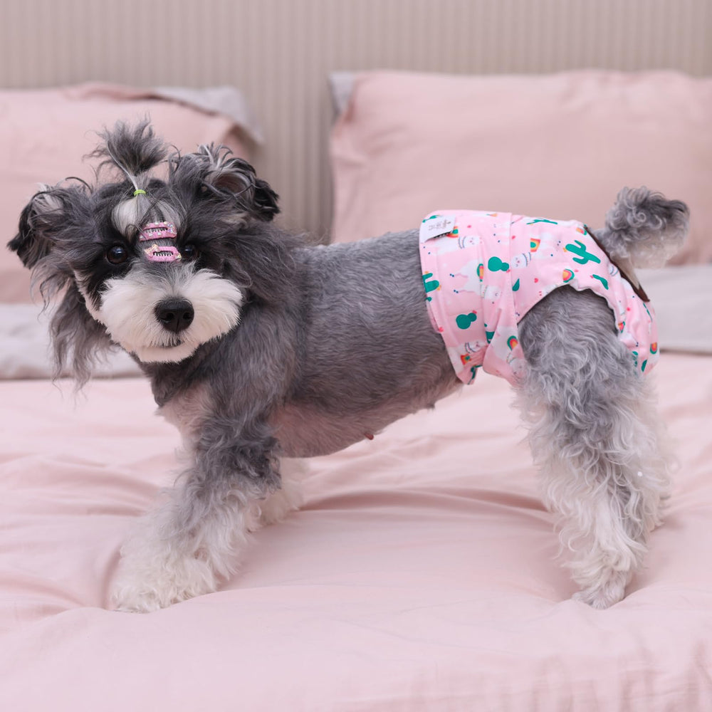CuteBone dog diapers reveal easy-clean loops for simple washing and drying.