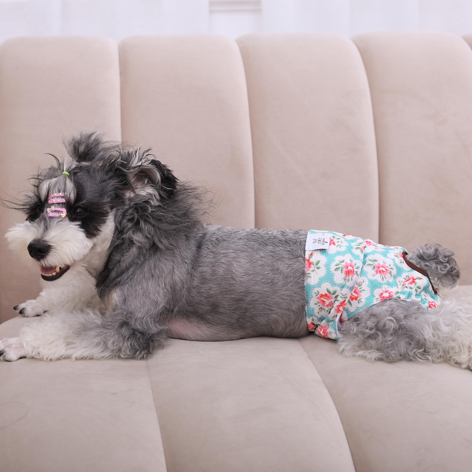CuteBone dog diapers easy-clean design emphasizes quick washing and durability.