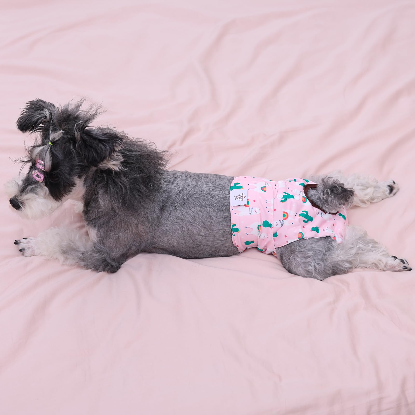 CuteBone dog diapers showcase fastener closures for a snug, secure feel.