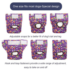 CuteBone leak-proof-shell image emphasizes room-protecting containment during pets' activities