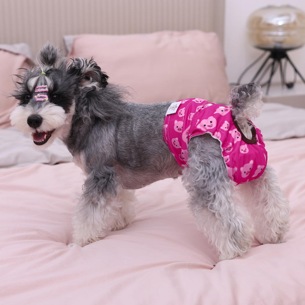 CuteBone dog diapers sewn-in absorbent pad boosts moisture capture during potty breaks