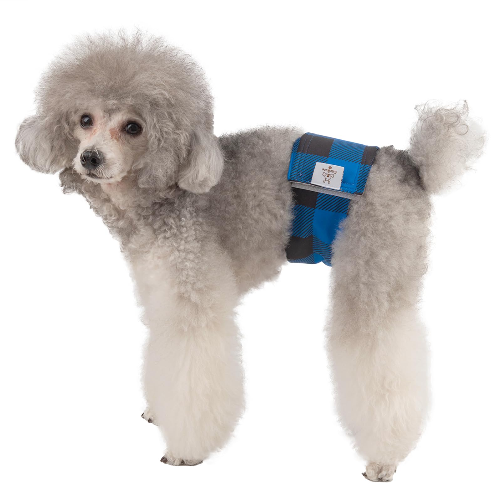 CuteBone dog diapers size chart from XS to XL for proper fit