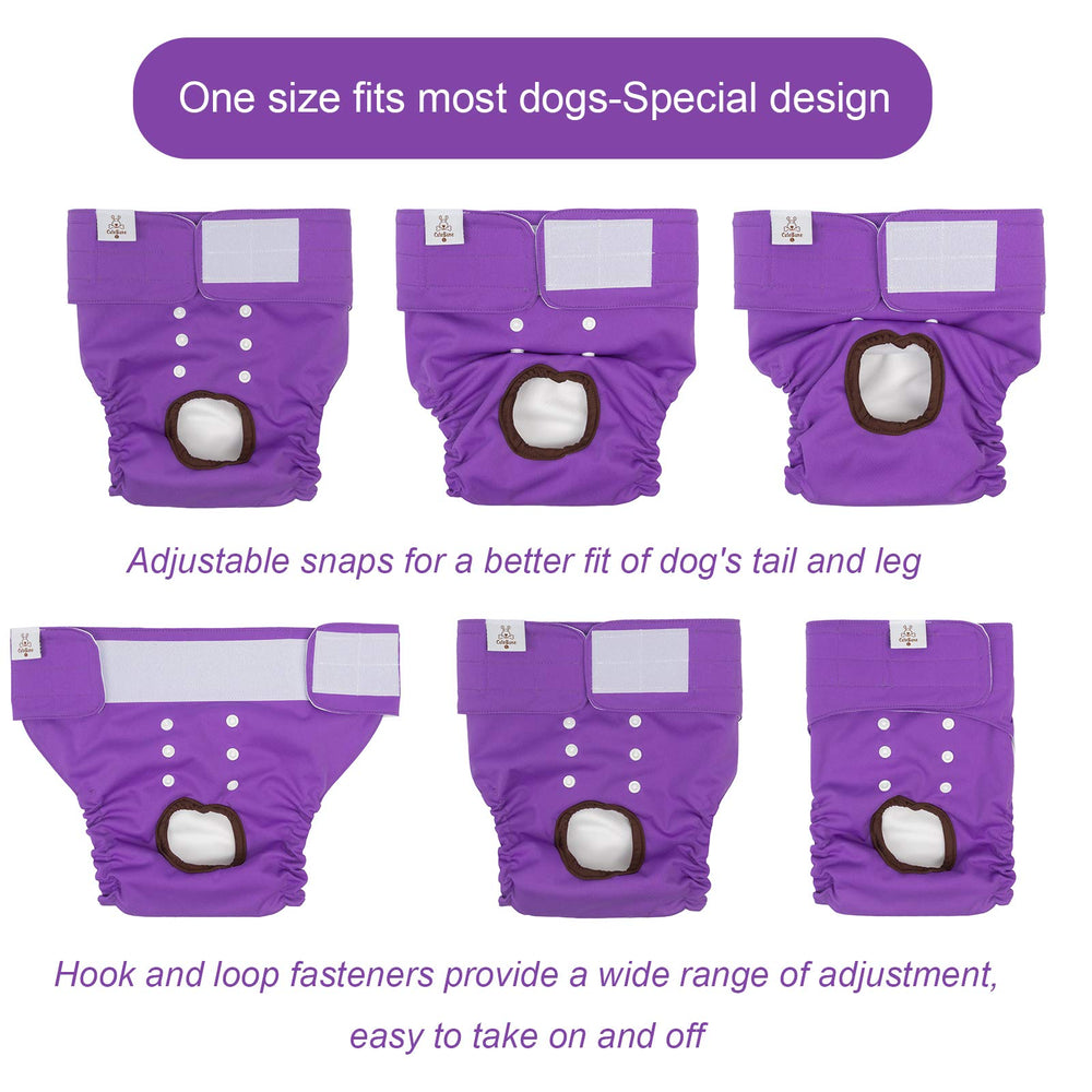 CuteBone washable and reusable design reduces waste and saves money
