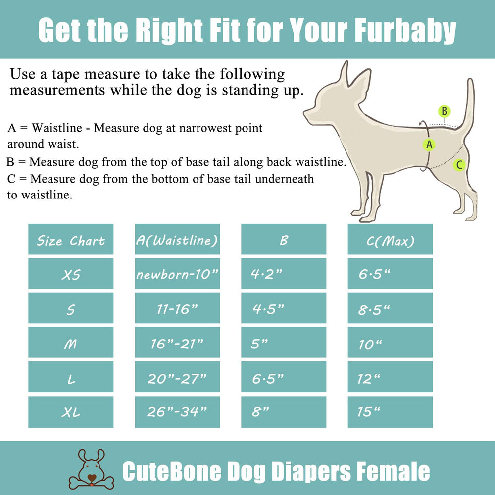 CuteBone dog diapers waterproof-shell—leak-proof protection for rugs and furniture.