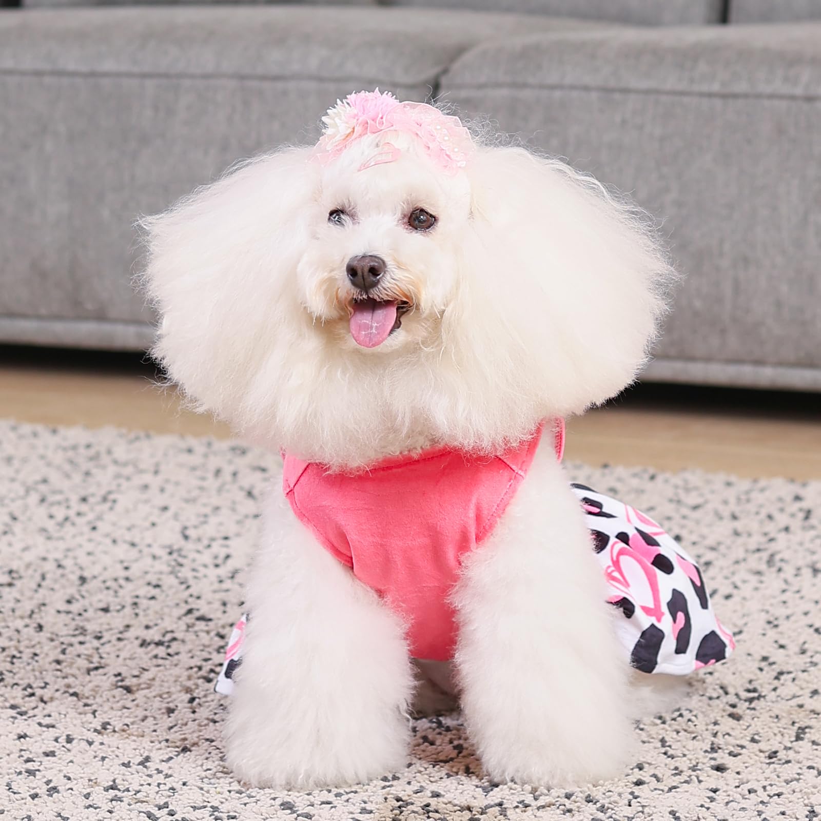 CuteBone dog dress suited for parties, weddings, holidays and photos.