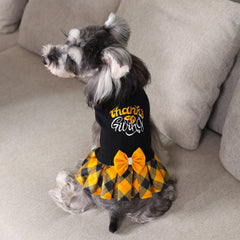 CuteBone dog sweater bowtie detail adds playful style for parties or daily wear