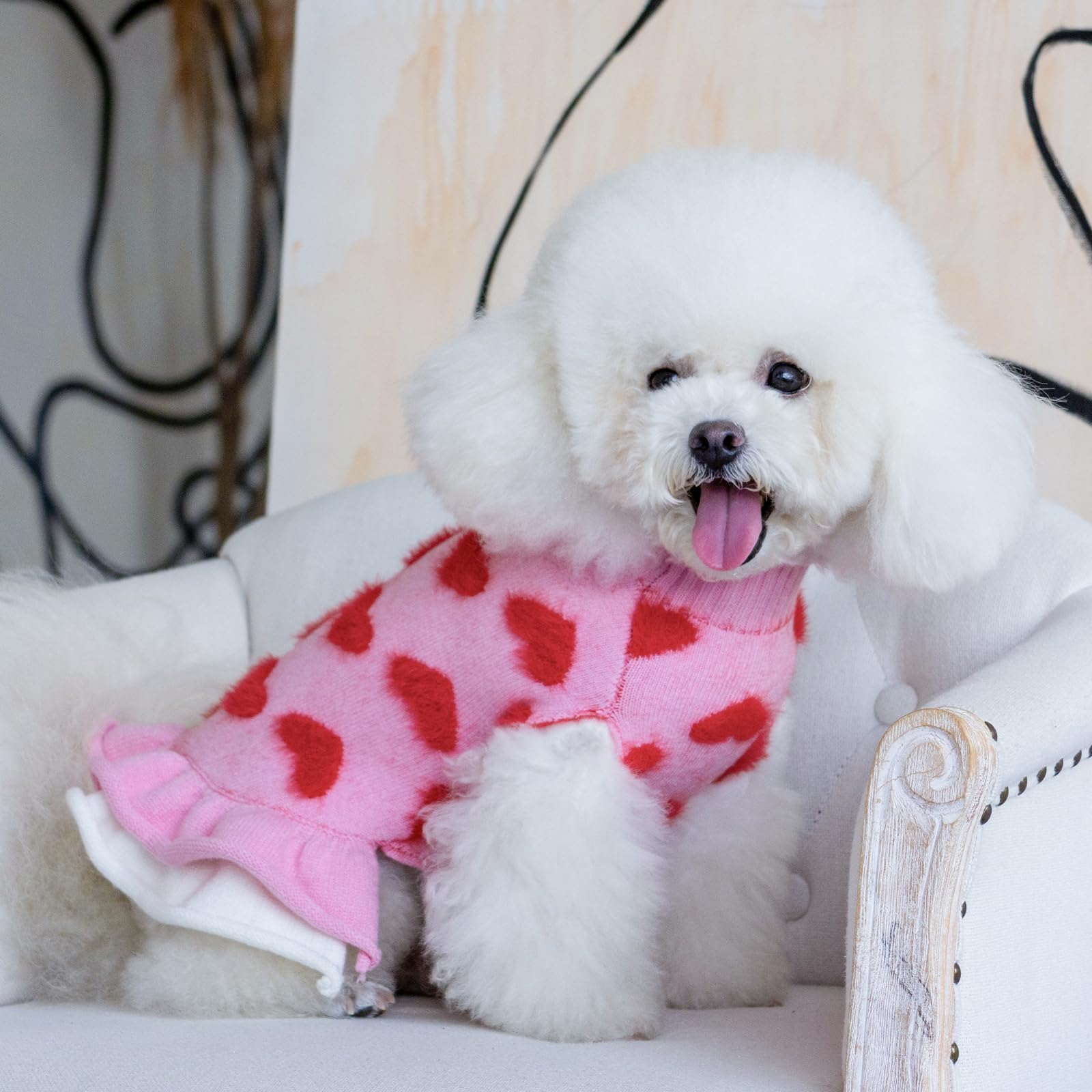 CuteBone Leash hole feature enables easy walks without removing the sweater.