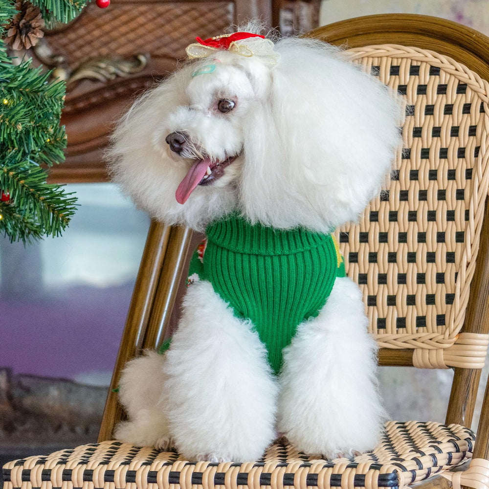 CuteBone small dog sweater easy-pullover design for quick dressing