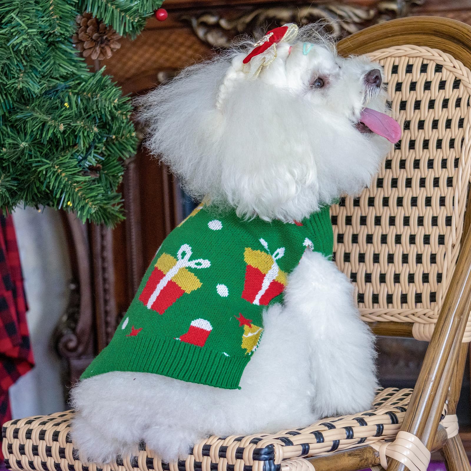 CuteBone dog sweater showing harness hole for easy control during walks