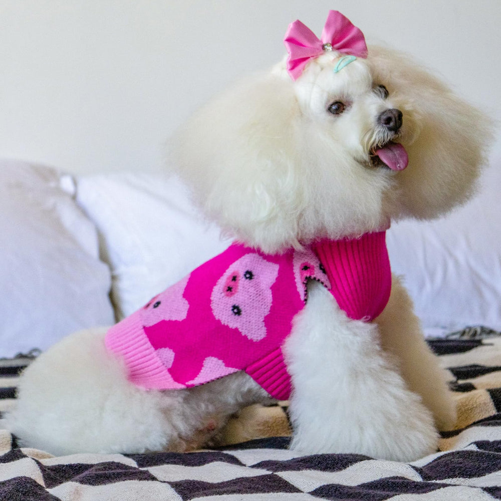 CuteBone dog sweater worn on a dog during winter walks demonstrates warmth and style.