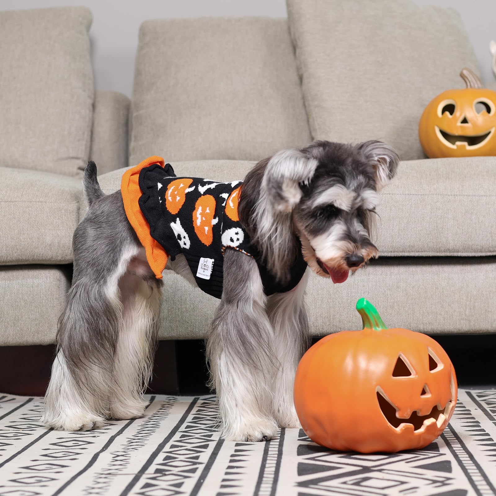 CuteBone leash-hole feature enabling quick leash attachment during walks