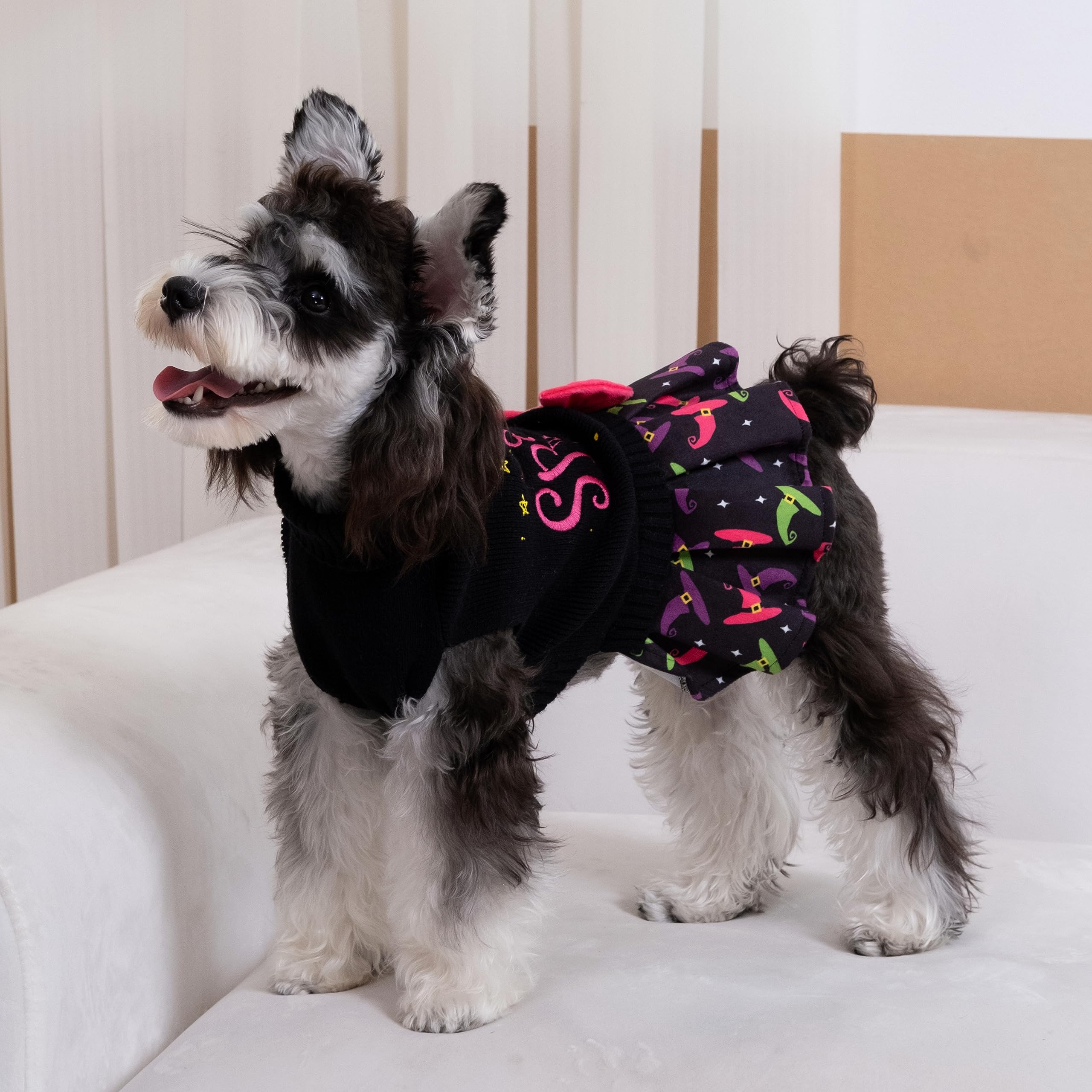 CuteBone turtleneck harness-hole sweater enhances leash use during walks