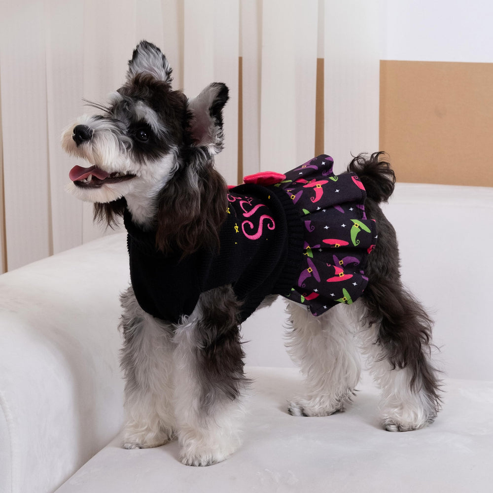 CuteBone turtleneck harness-hole sweater enhances leash use during walks