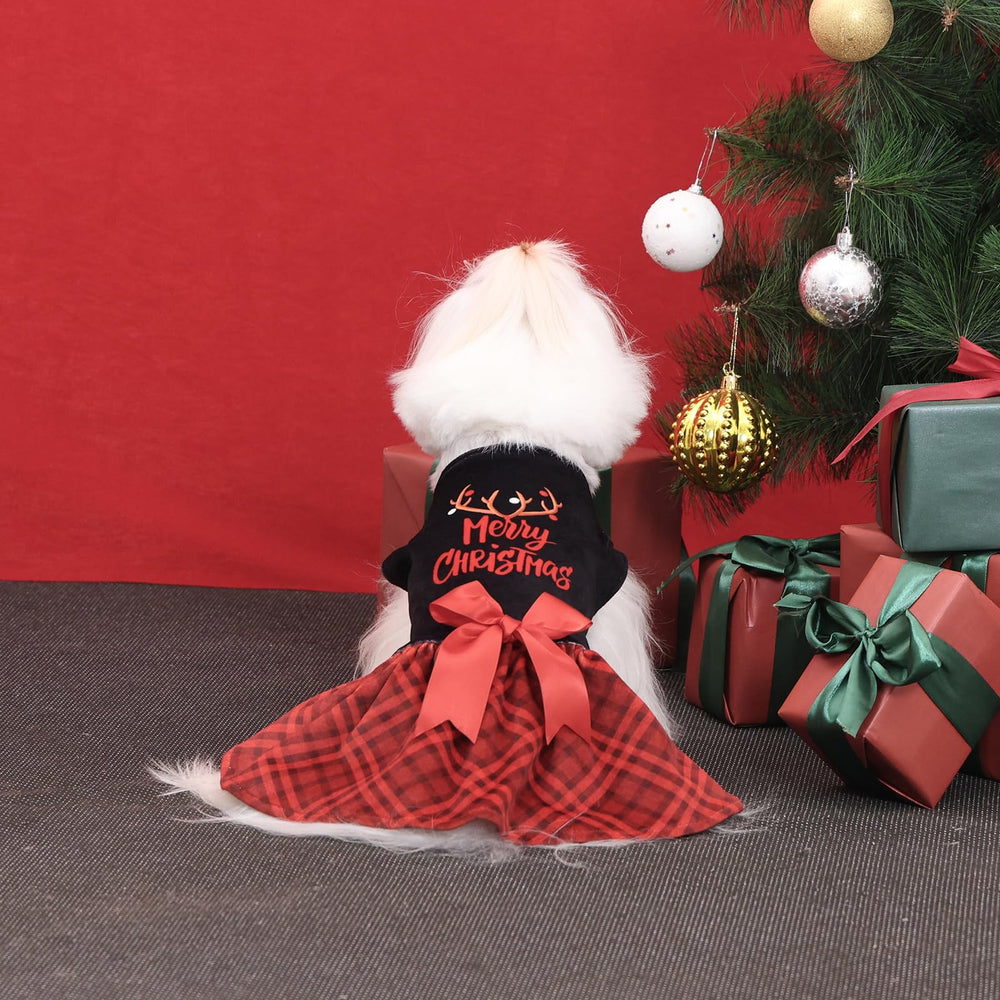 CuteBone lifestyle shot, dog wearing velvet Christmas dress during celebration