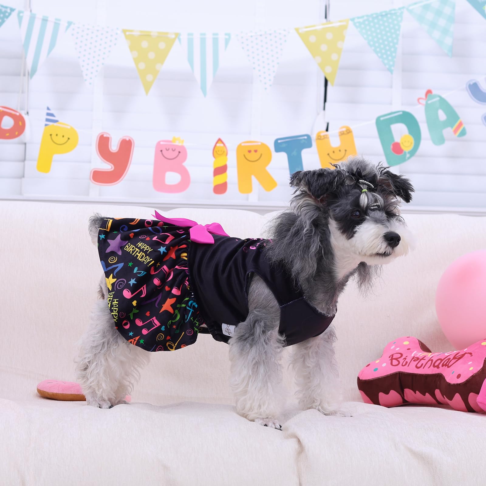 CuteBone dress ready for party and wedding photos elevating tiny pups wardrobe