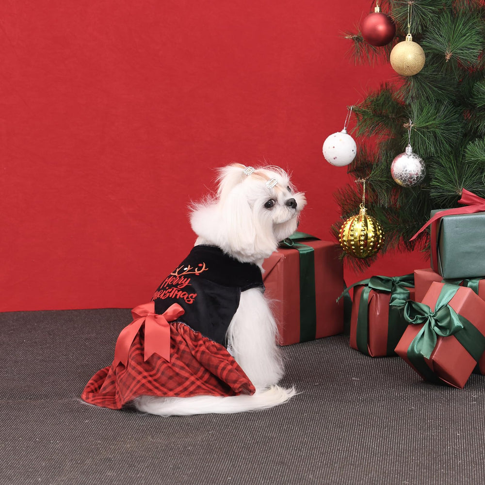 CuteBone dress shown at wedding or party, stylish canine attire
