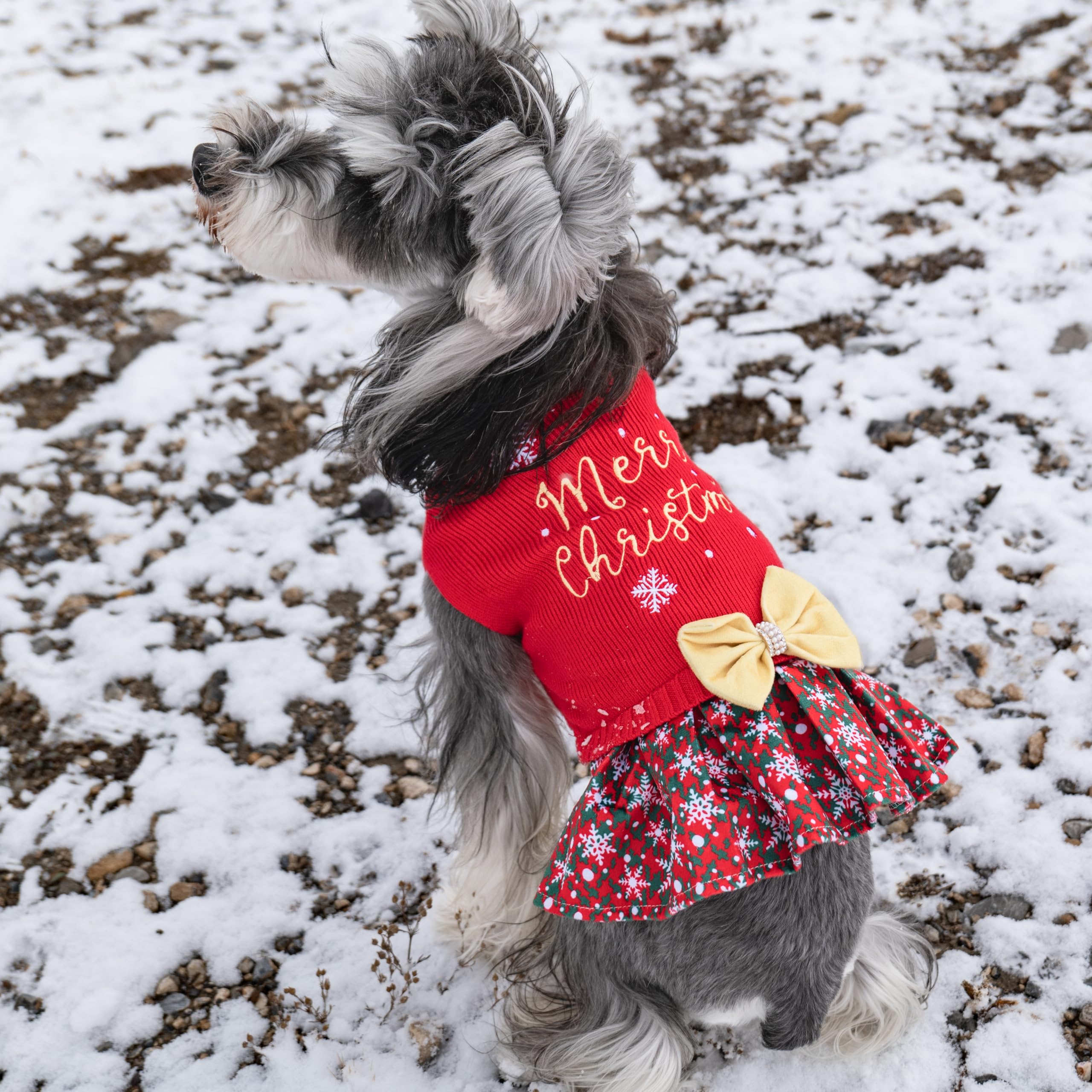 CuteBone easy-to-wear sleeveless pullover simplifies dressing for small dogs.