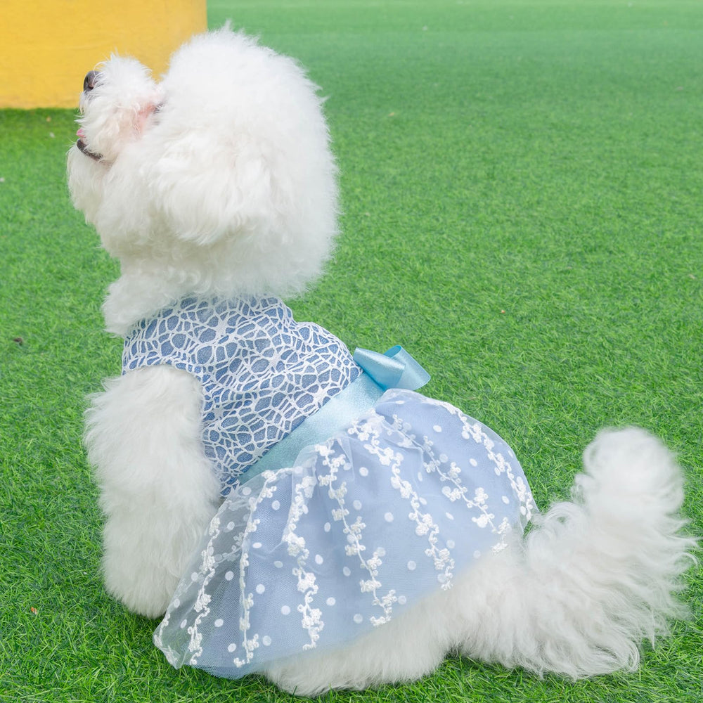 CuteBone everyday and party wear showcases versatility for photos, holidays, and casual outings.