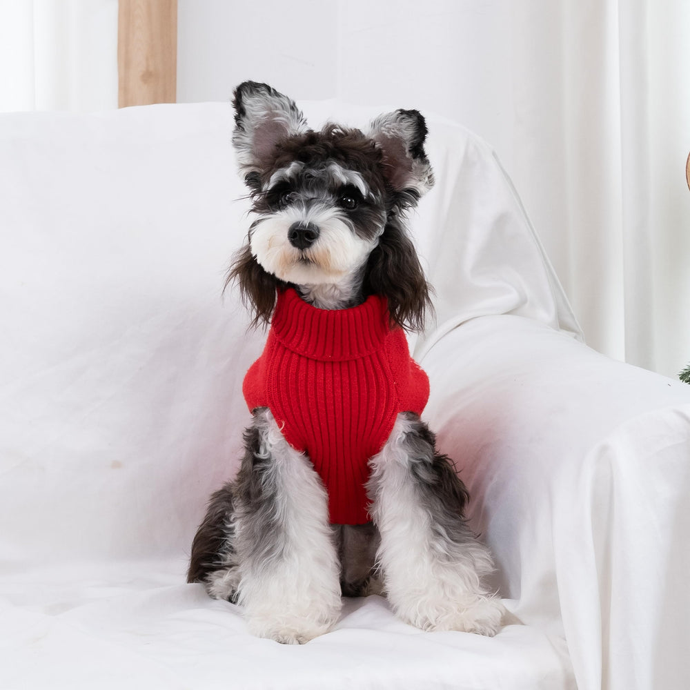 CuteBone festive photo-ready look for party snapshots.