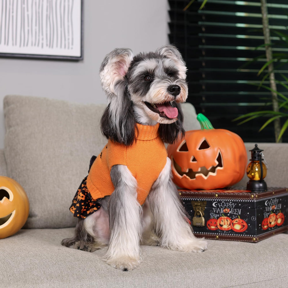 CuteBone harness hole feature enables easy leash attachment during outdoor wear.