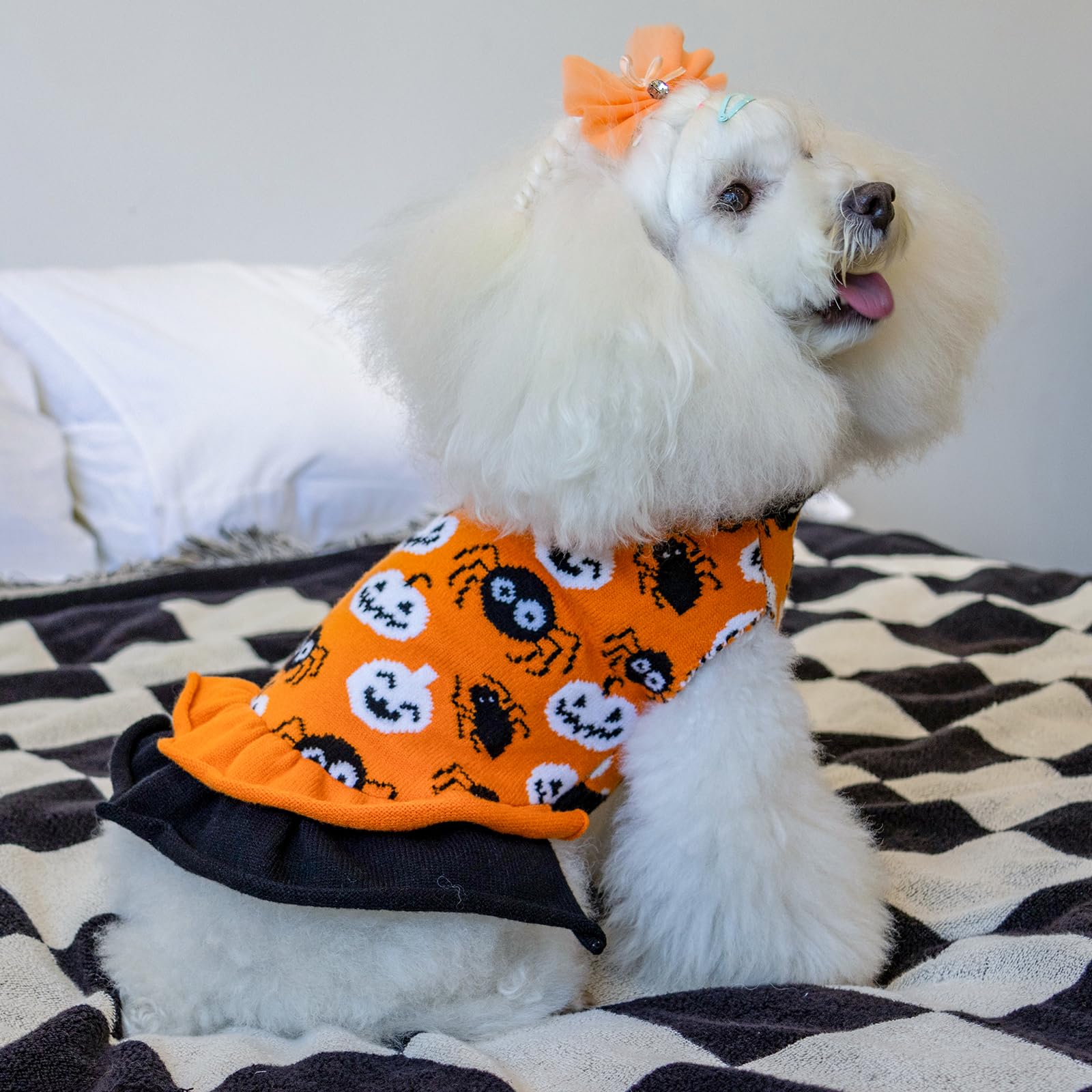 CuteBone knitted closeup shows soft fabric and easy-care quality for small dogs.