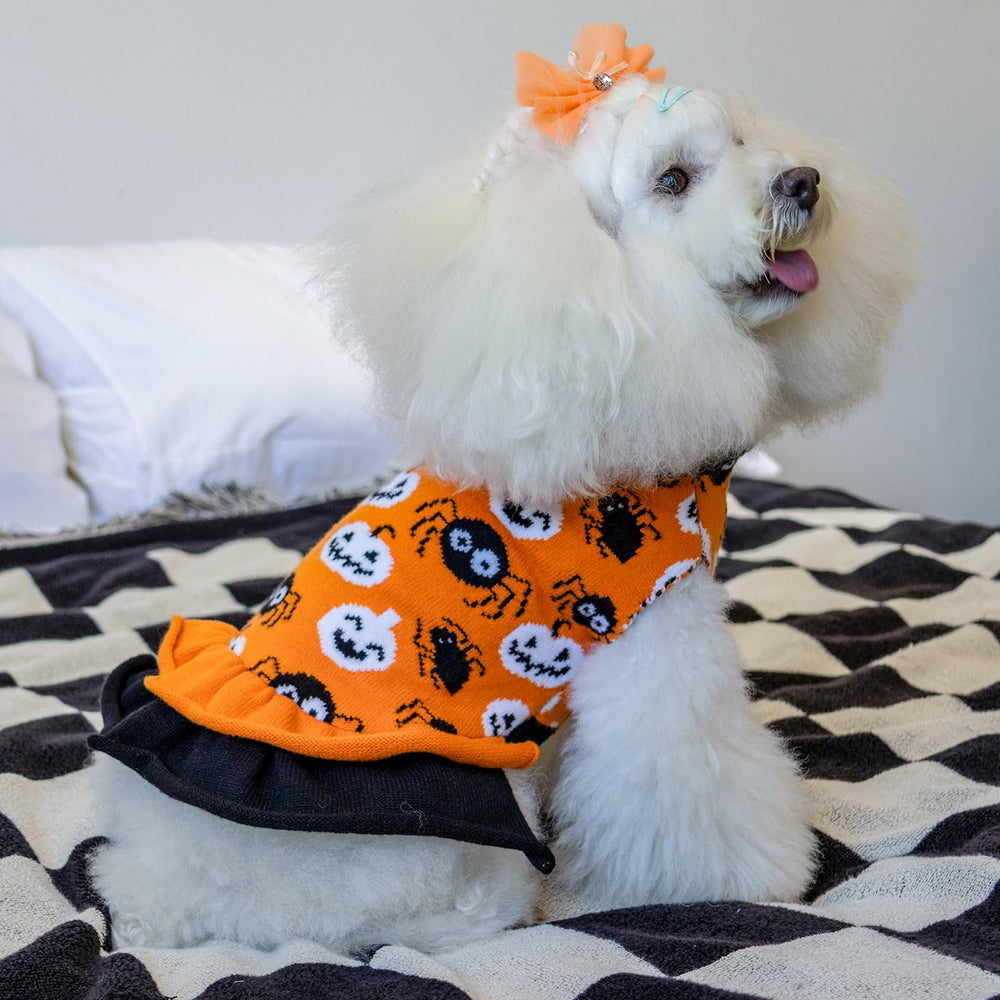 CuteBone knitted closeup shows soft fabric and easy-care quality for small dogs.