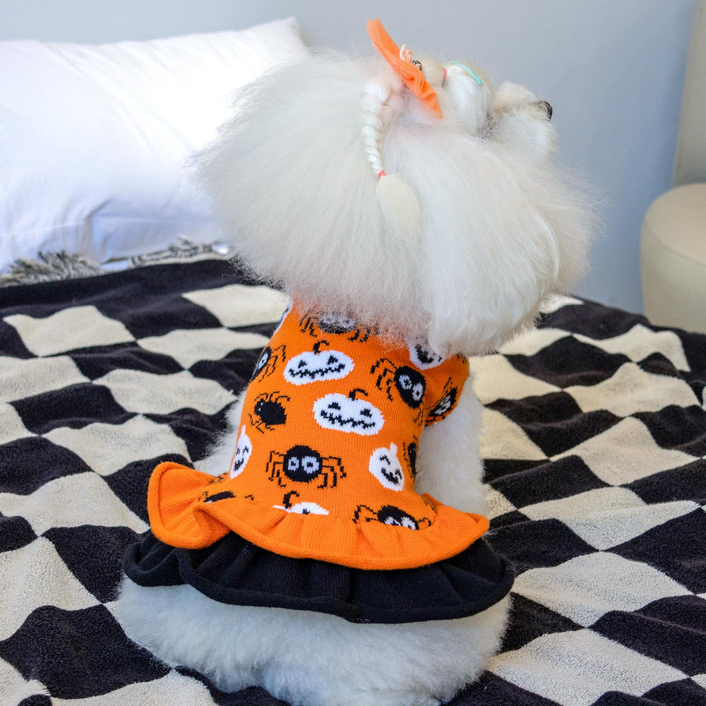 CuteBone sweater dress with ruffle skirt detail emphasizes cute double-layer design for photos.