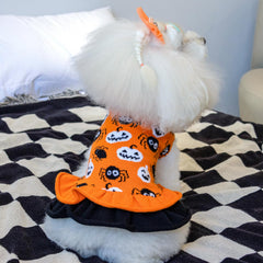 CuteBone sweater dress with ruffle skirt detail emphasizes cute double-layer design for photos.