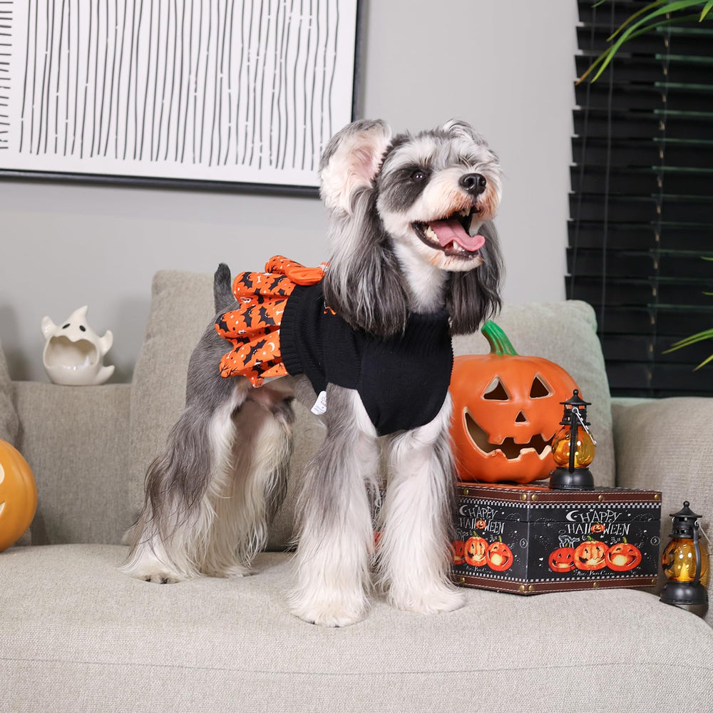 CuteBone Halloween dress leash-hole closeup shows quick leash attachment capability.