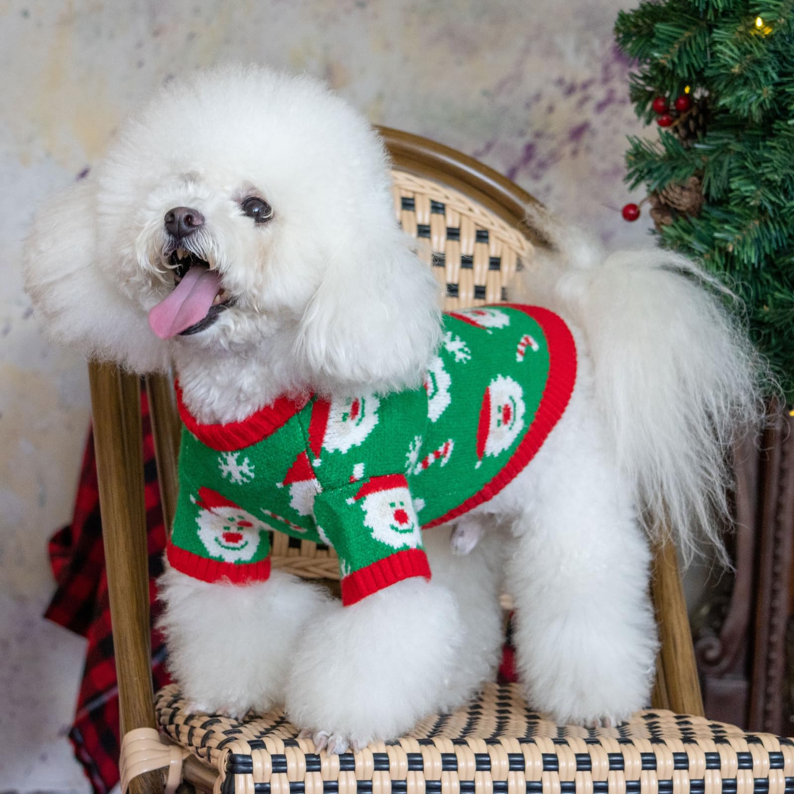 CuteBone high-collar design dog sweater protects neck in cold weather.