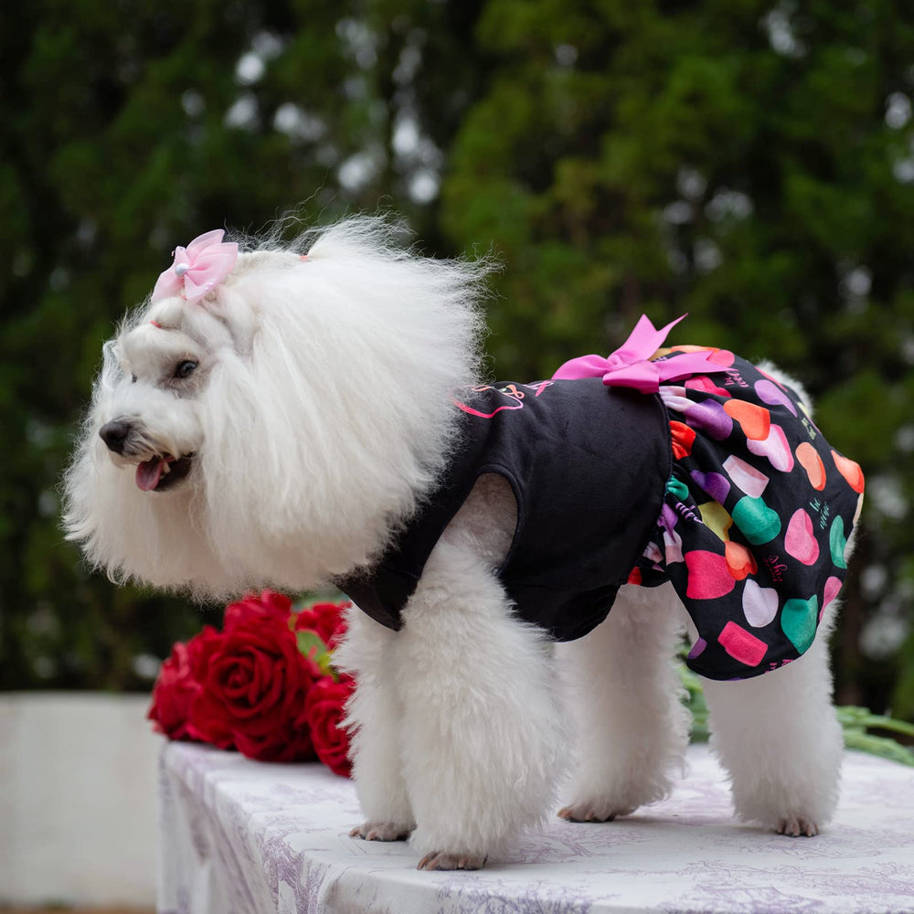 CuteBone I Love U Dress Velvet party-ready puppy outfit for photos or events.
