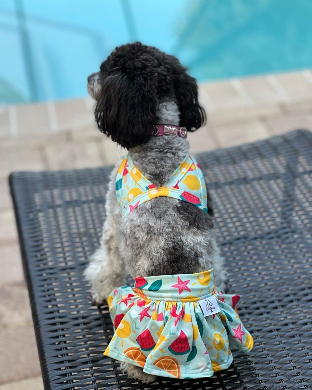 CuteBone lavado a maquina y secado rapido, facil cuidado para perro