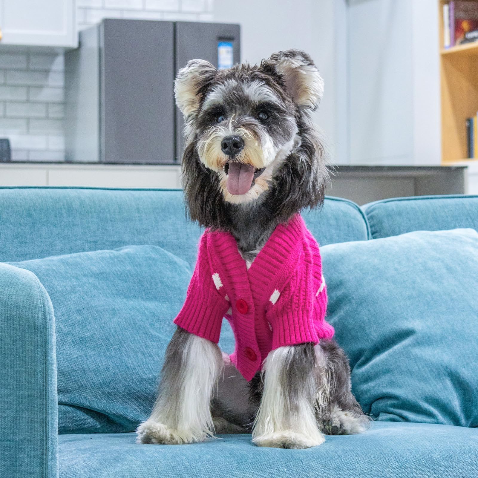 CuteBone leash hole design dog sweater shows convenient control during walks