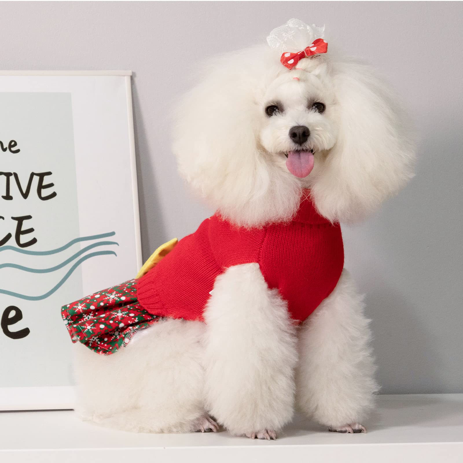 CuteBone leash-hole pullover-dress provides easy leash access for walks.