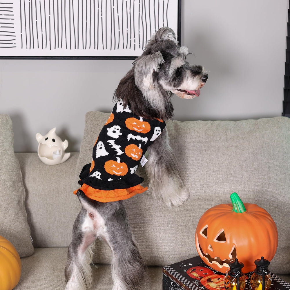 CuteBone machine-washable dog apparel for easy care after playful outings