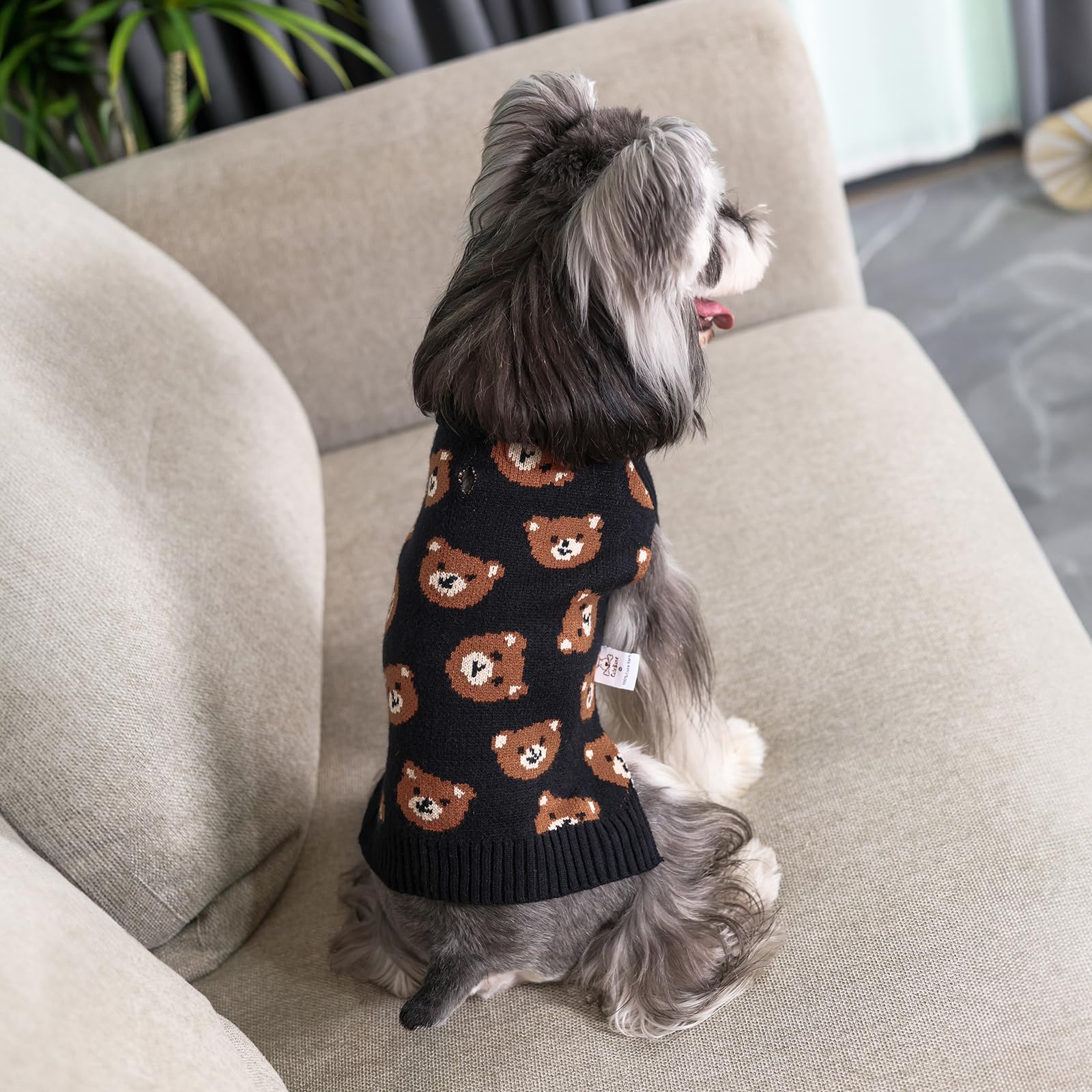 Cutebone model wearing bear-pattern sweater ideal for photos and daily wear