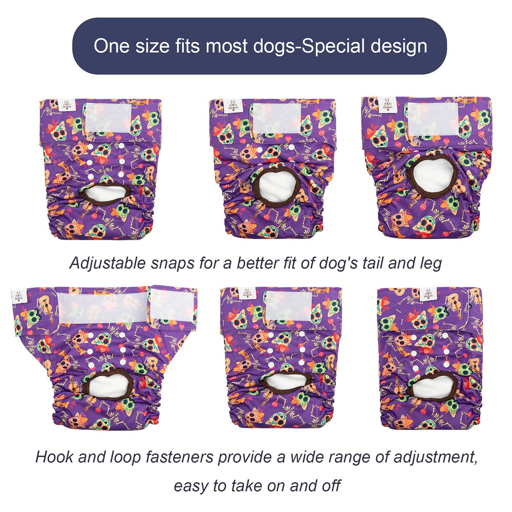 CuteBone exterior impermeable protege superficies durante salidas