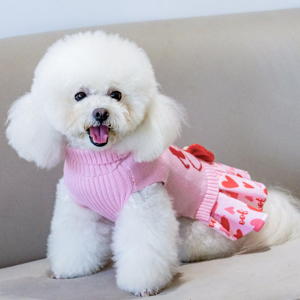 CuteBone pink dog sweater dress bowtie detail showing charming embellishments for photos