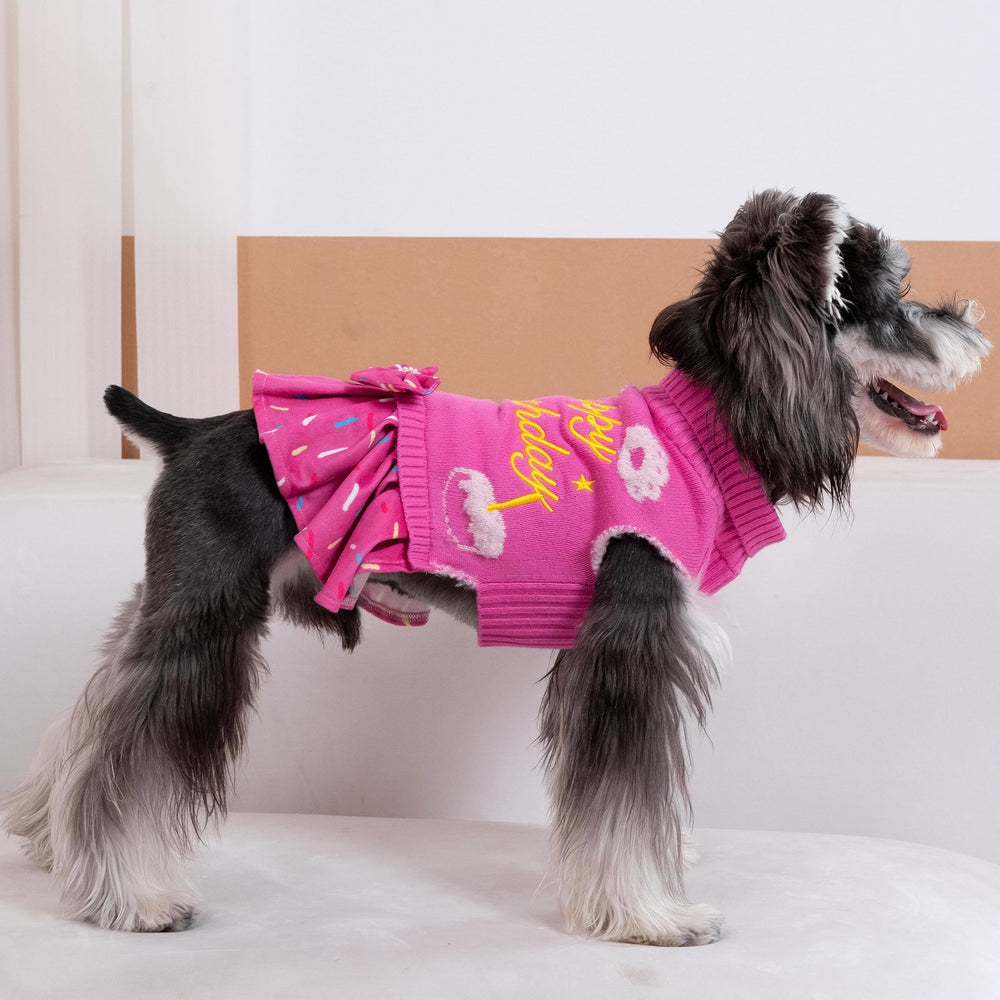 CuteBone pink dog sweater worn by a pup with bowtie and rhinestones for photos.