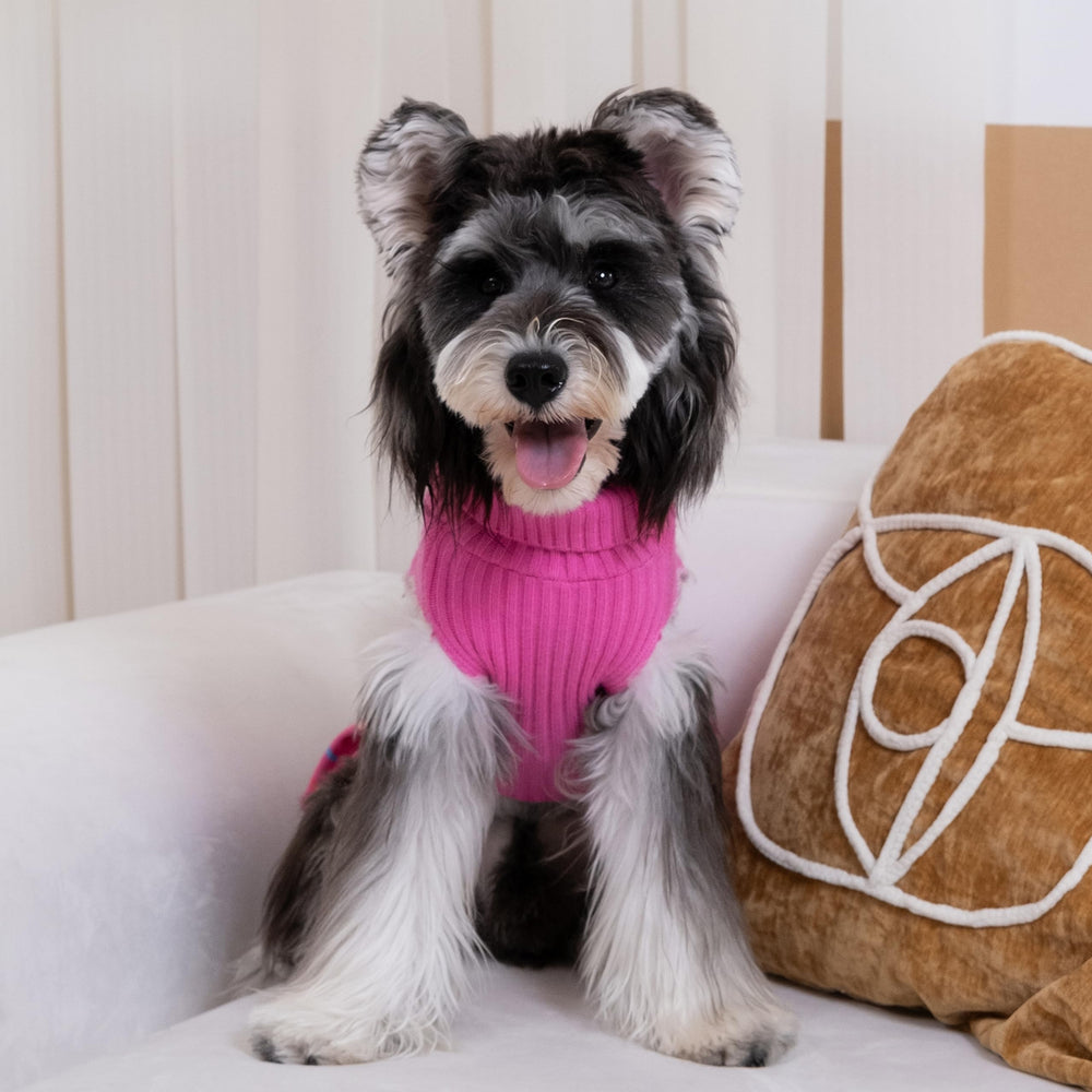 CuteBone pink dog sweater at party — photo ready with cheerful style.
