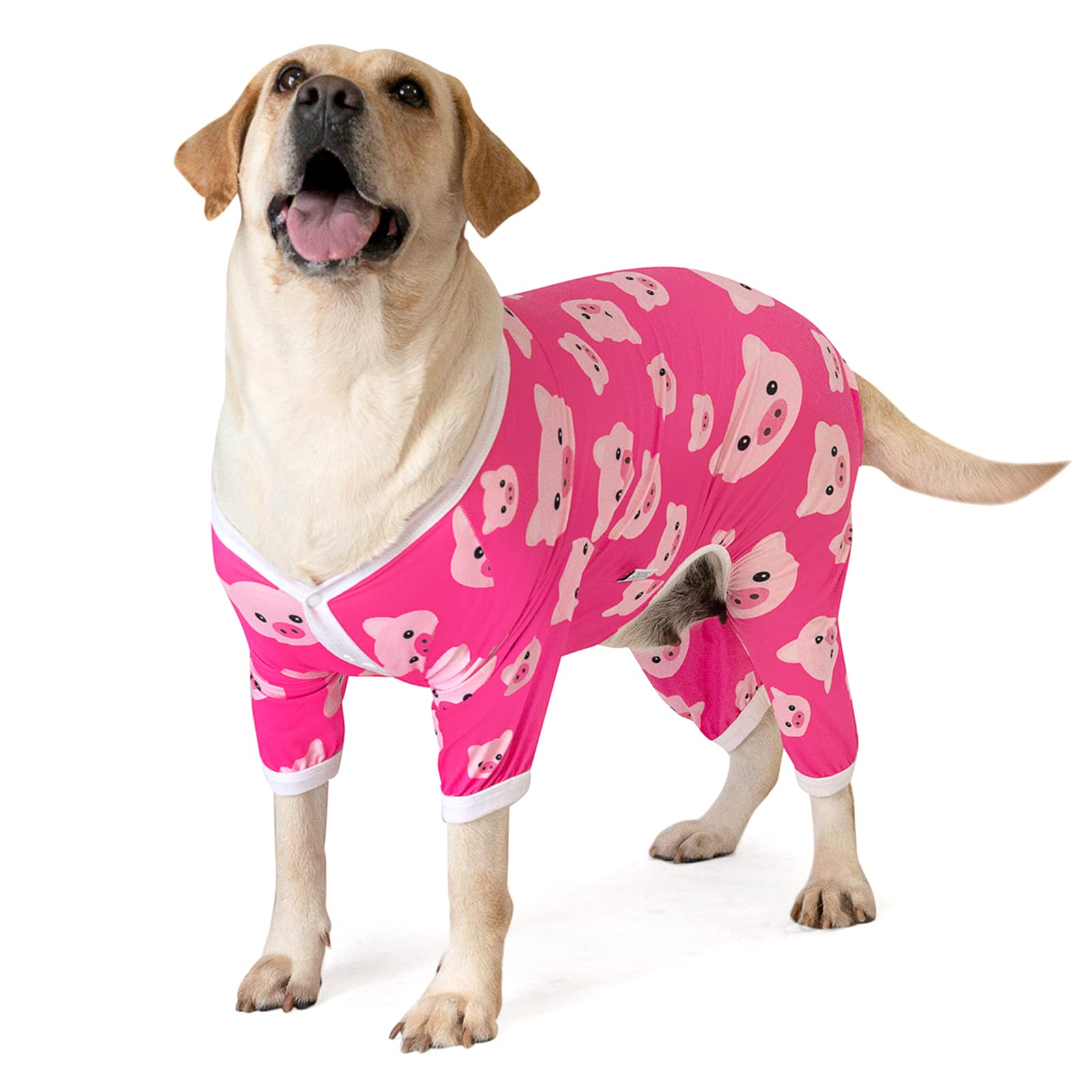 CuteBone post-surgery pajamas with four-legs design for large dogs offer gentle coverage.