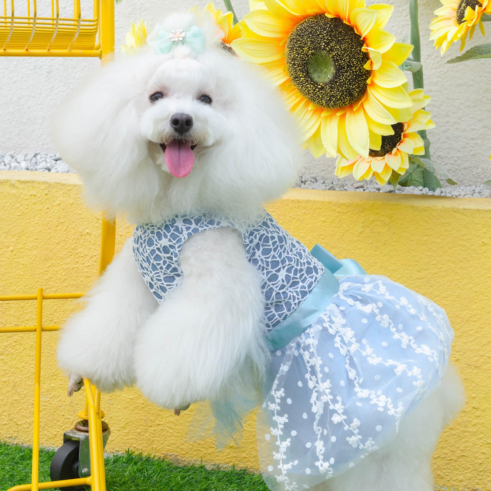 CuteBone pullover design easy-on, quick dress-up for busy mornings and party moments.