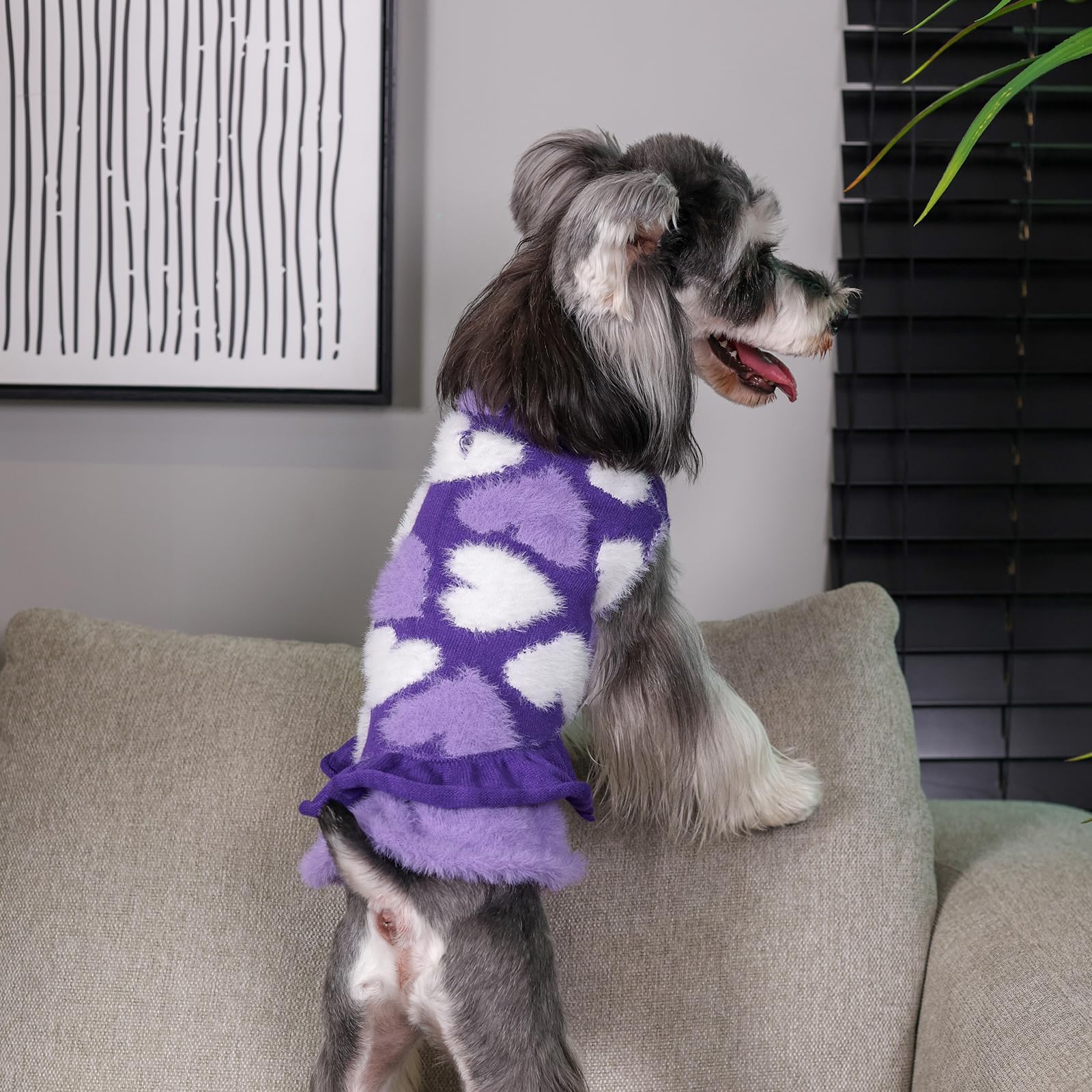 CuteBone pullover design eases on and off