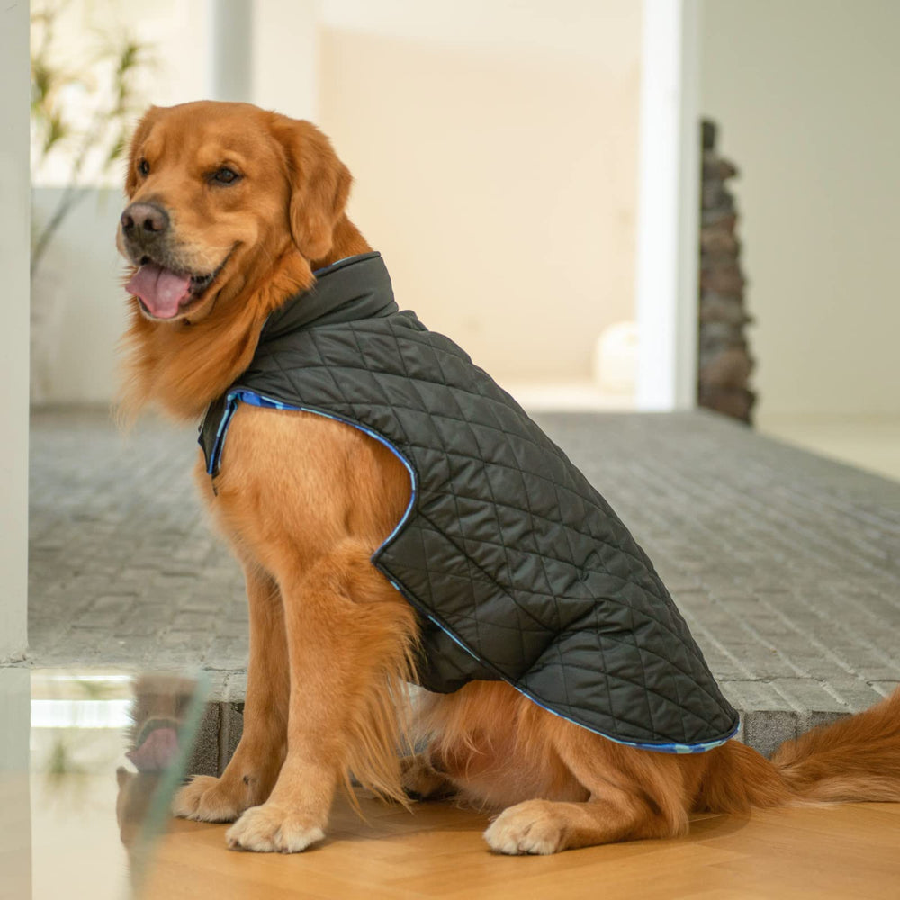 CuteBone reversible dog jacket leash hole feature enables easy leash access.
