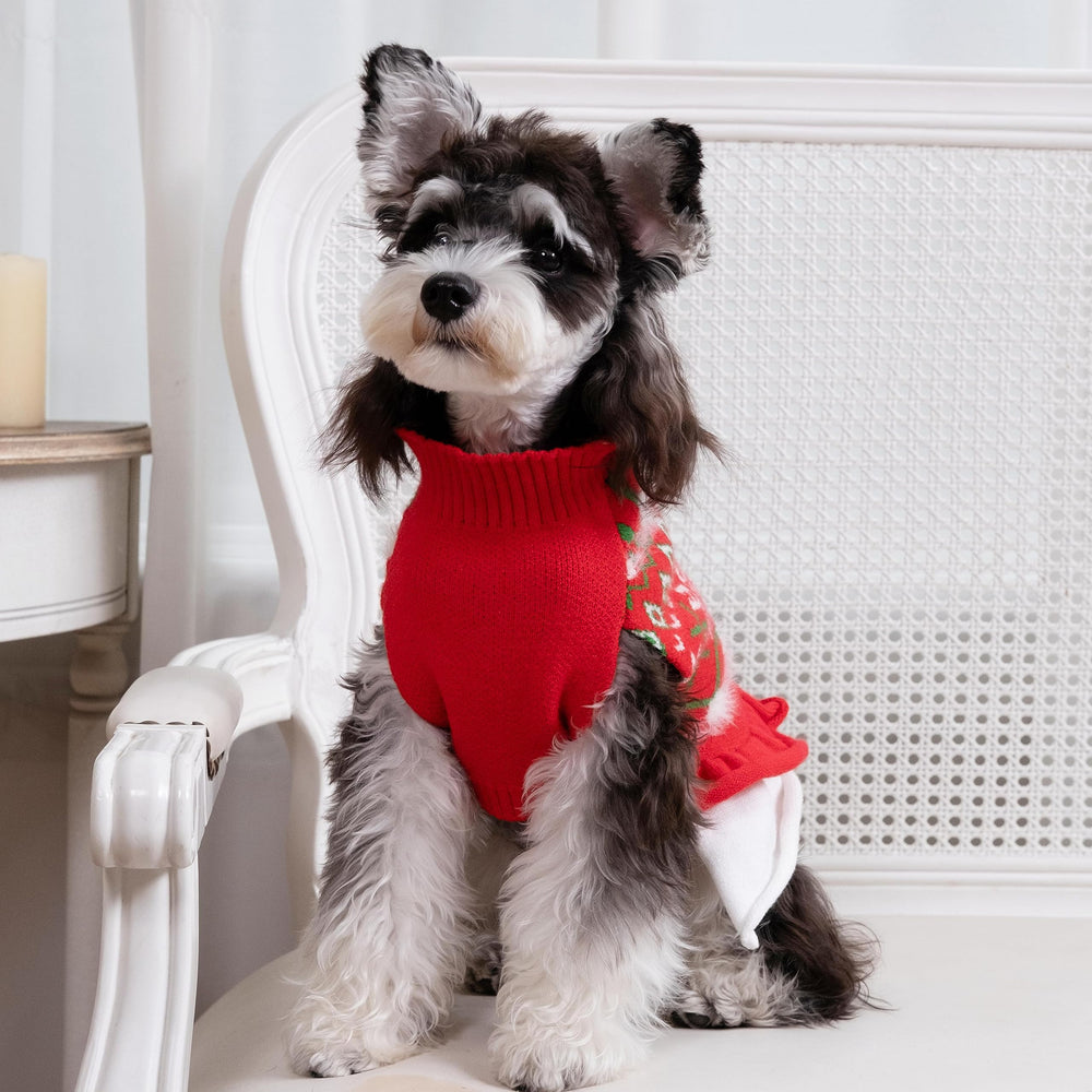 Close view of ruffle skirt detail on CuteBone dog sweater for stylish wear