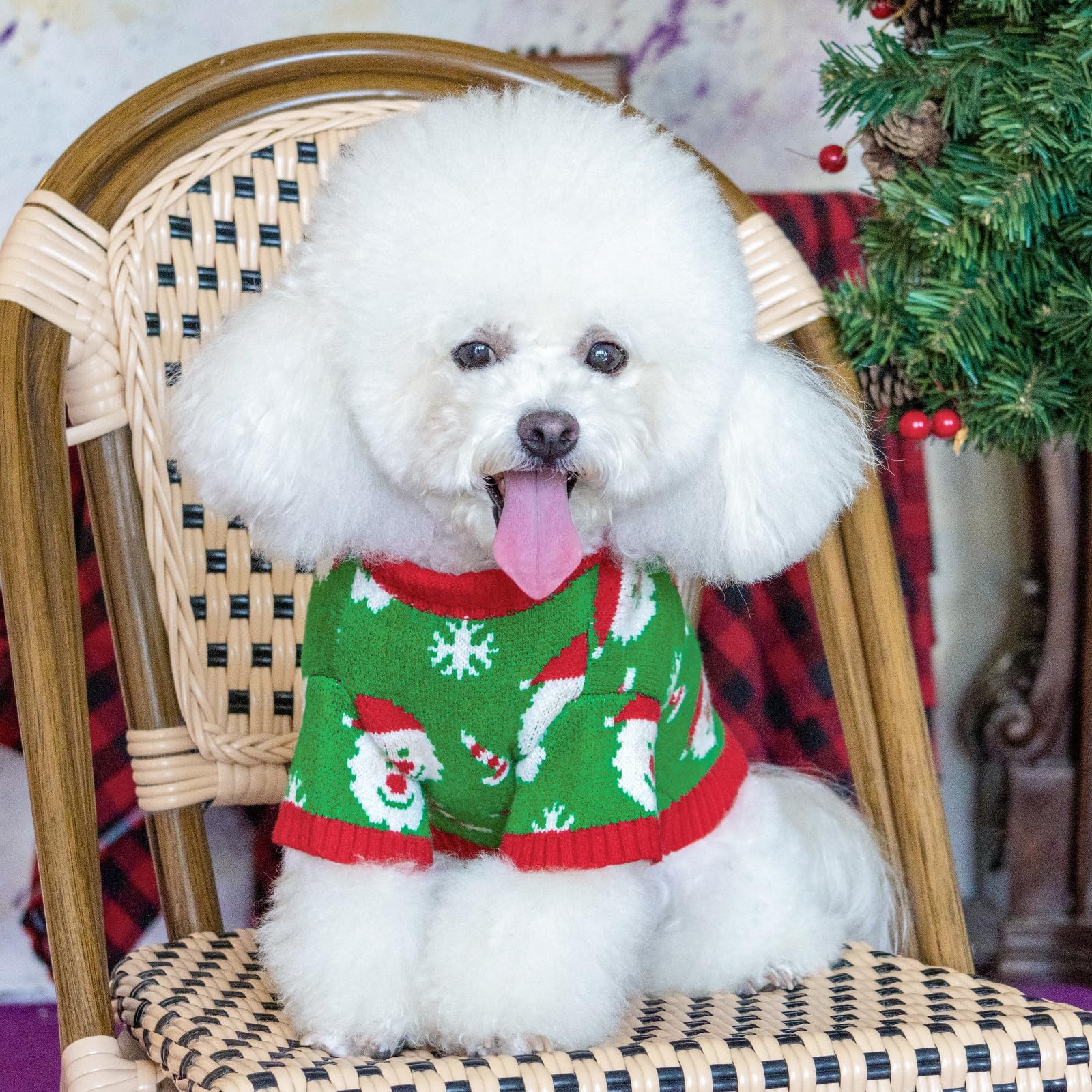 CuteBone Santa-claus knit dog sweater harness-hole for easy control during walks.